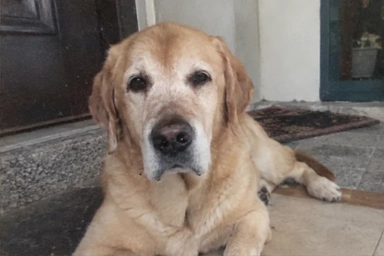 An old family photo of Bailey by the doorway
