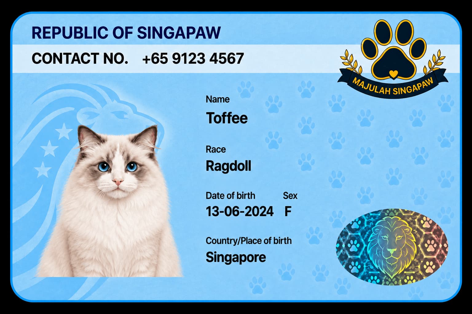 Toffee’s blue Singapaw example ID card