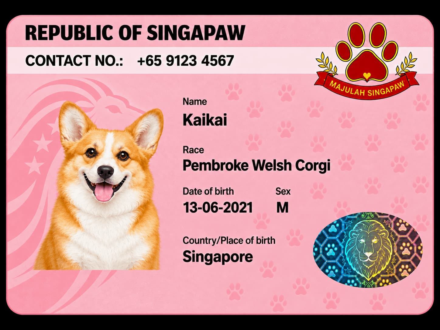 Kaikai’s red Singapaw example ID card