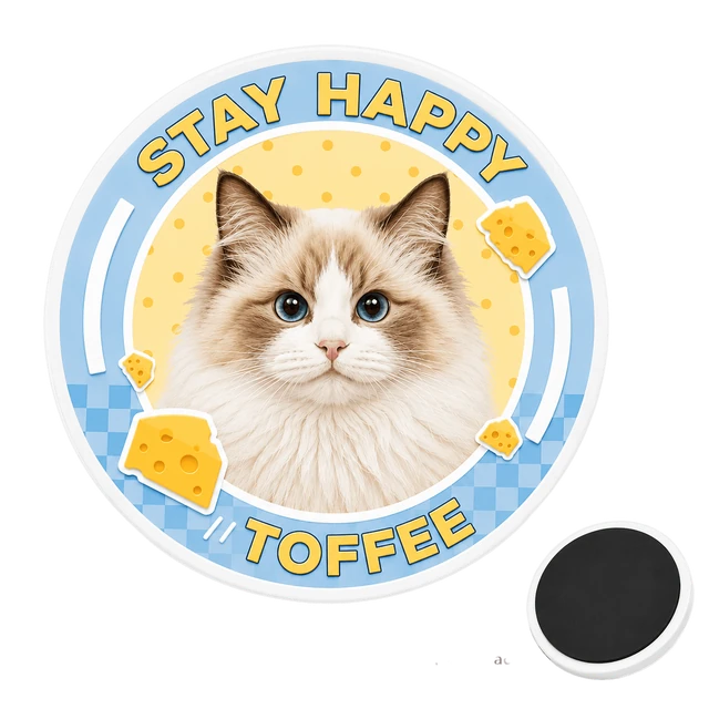 Custom pet photo magnet of Toffee the cat