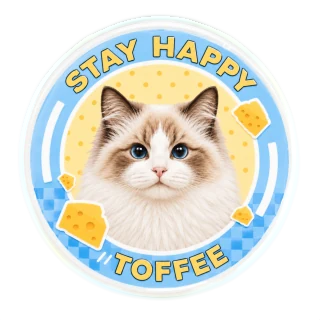 Custom pet photo magnet of Toffee the cat
