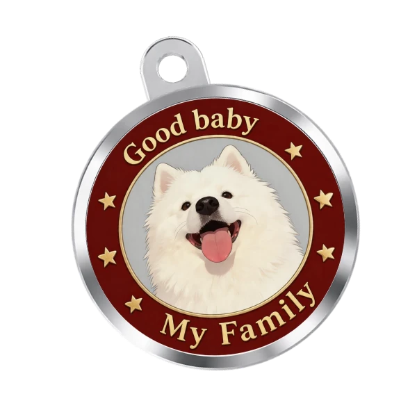 Pet NFC ID Tag